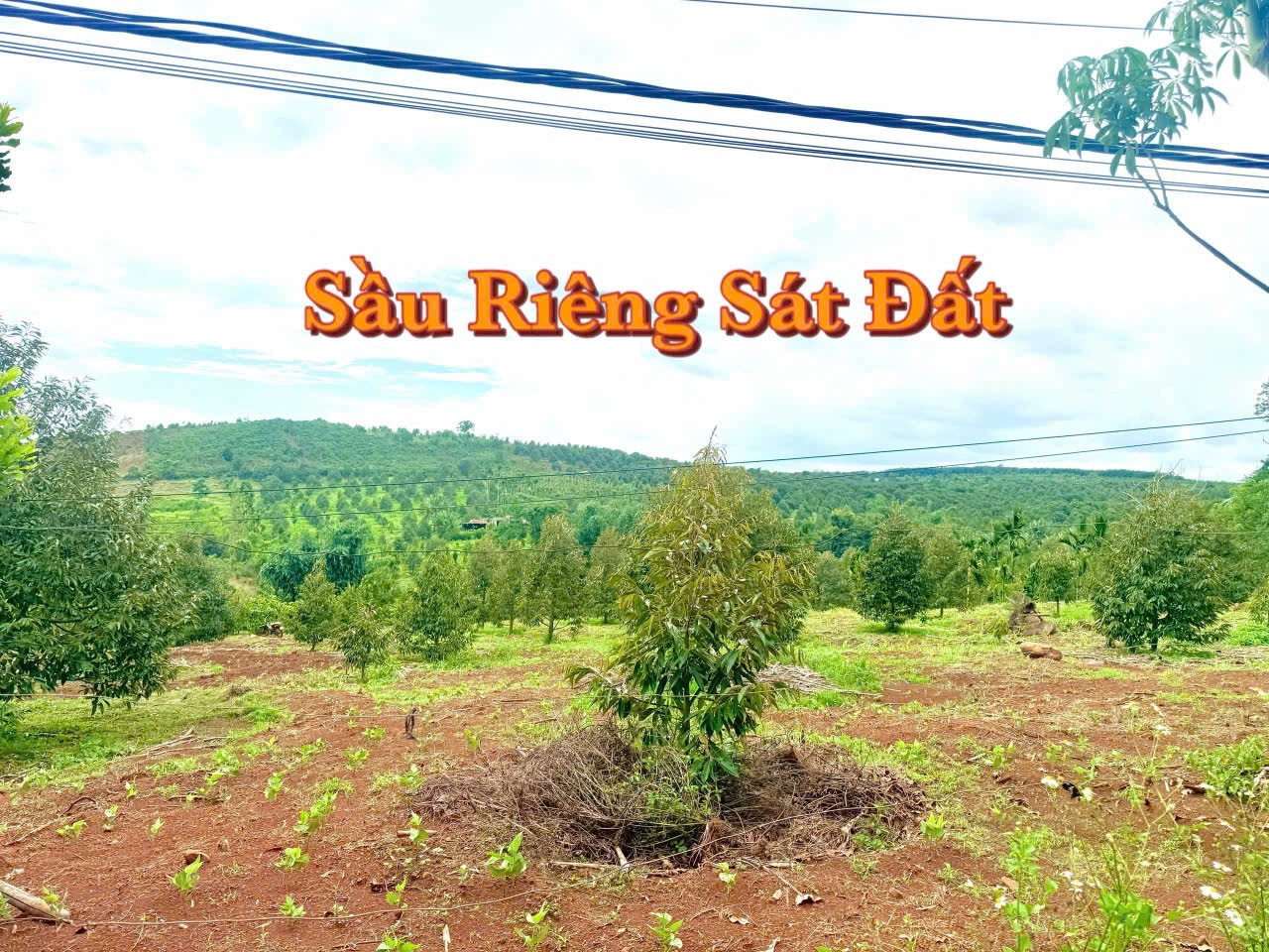 Bán đất 150m² giá 139 triệu Xã Tam Giang