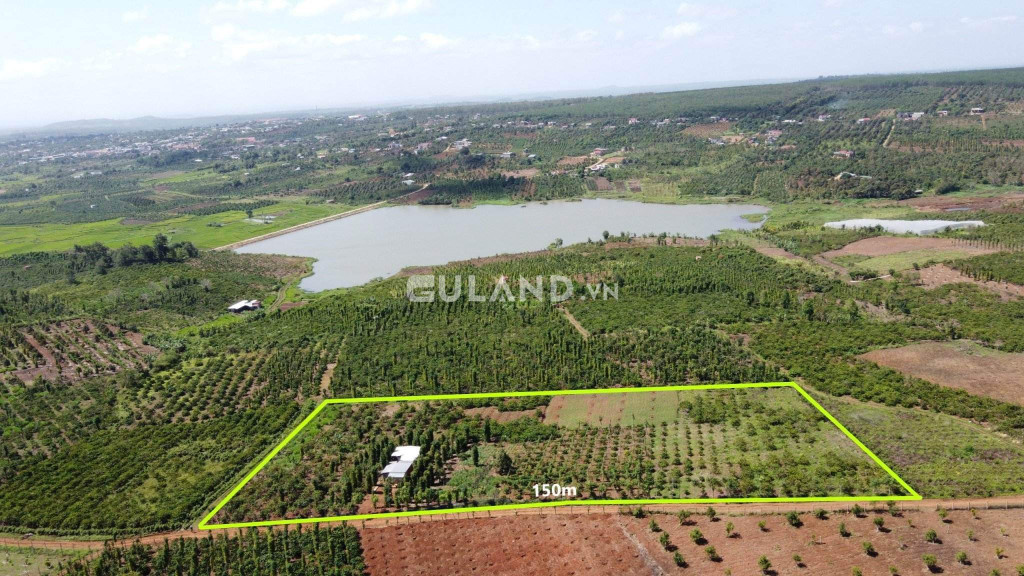 Bán đất nông nghiệp 9000m² full thổ cư,giá 1.5tỷ tại xã Tam Giang, Krông Năng,Đắk Lắk