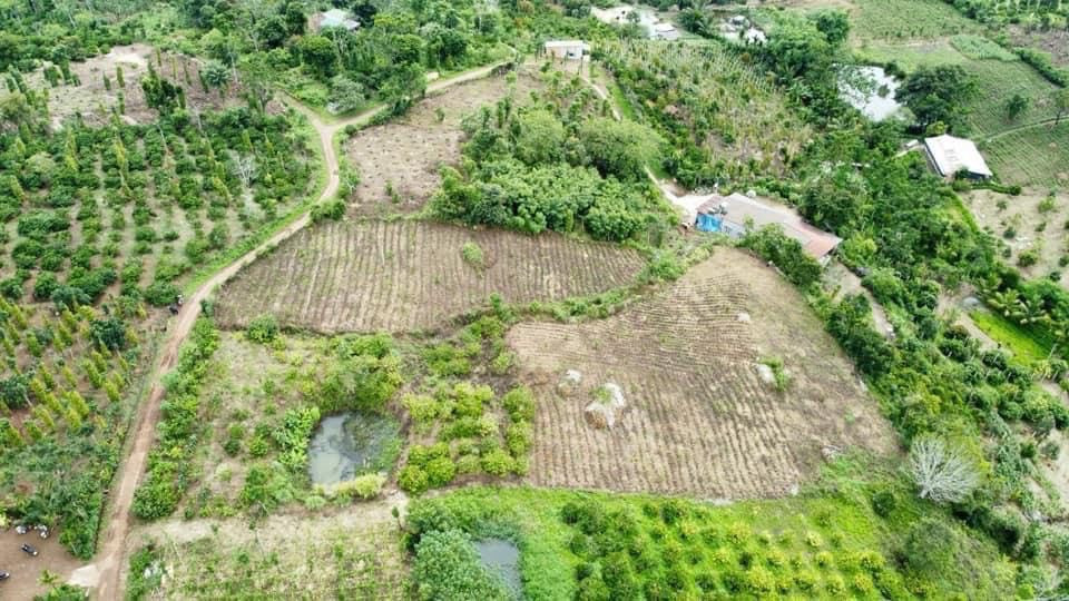 Bán đất 4269.7m² 615 triệu tại Xã Tam Giang Huyện Krông Năng