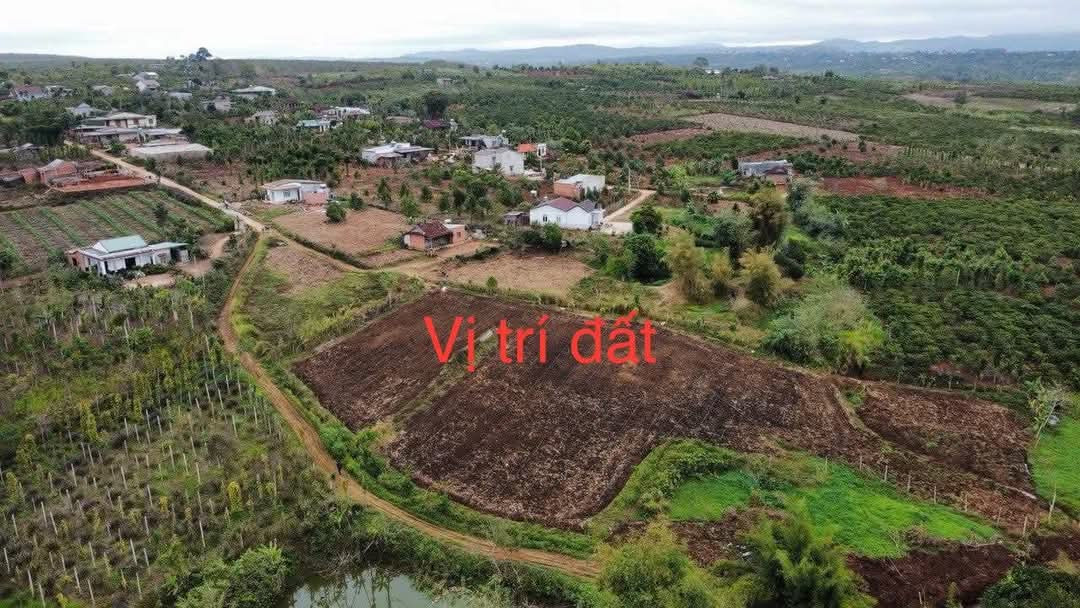 Bán đất 4000m² có sẵn thổ cư 400m2 giá 780 triệu tại Xã Tam Giang Huyện Krông Năng