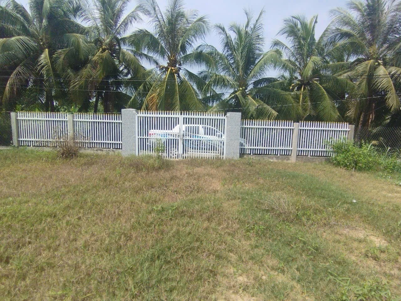 Bán đất mặt tiền xây nhà vườn nghĩ dưỡng ở Tam Hiệp, Châu Thành, Tiền Giang
