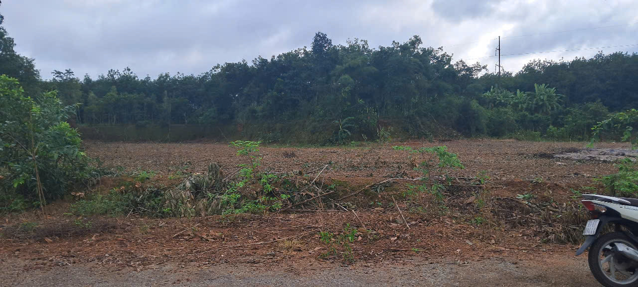 CHÍNH CHỦ CẦN BÁN LÔ ĐẤT TẠI XÃ TAM LẬP - HUYỆN PHÚ GIÁO - BÌNH DƯƠNG