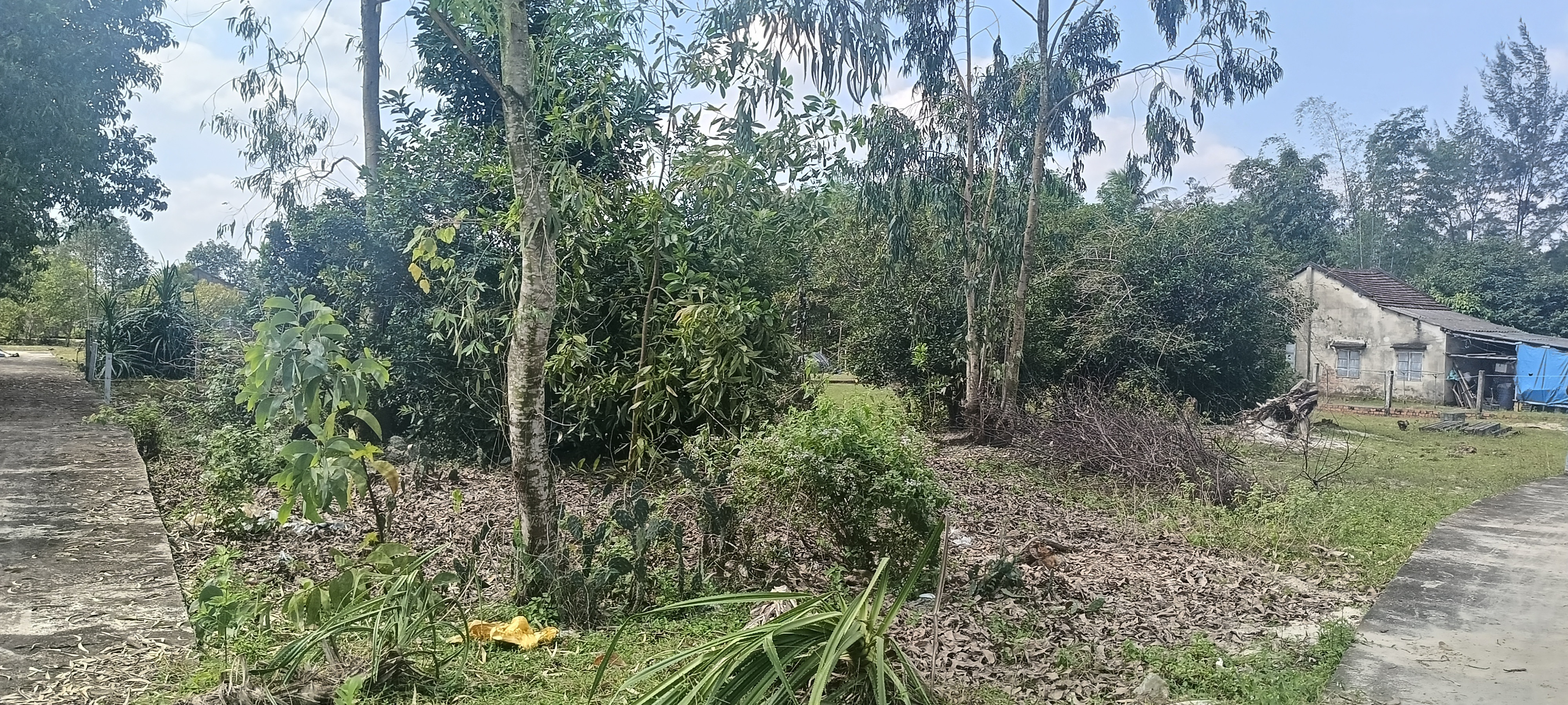 Đất 02 mặt tiền