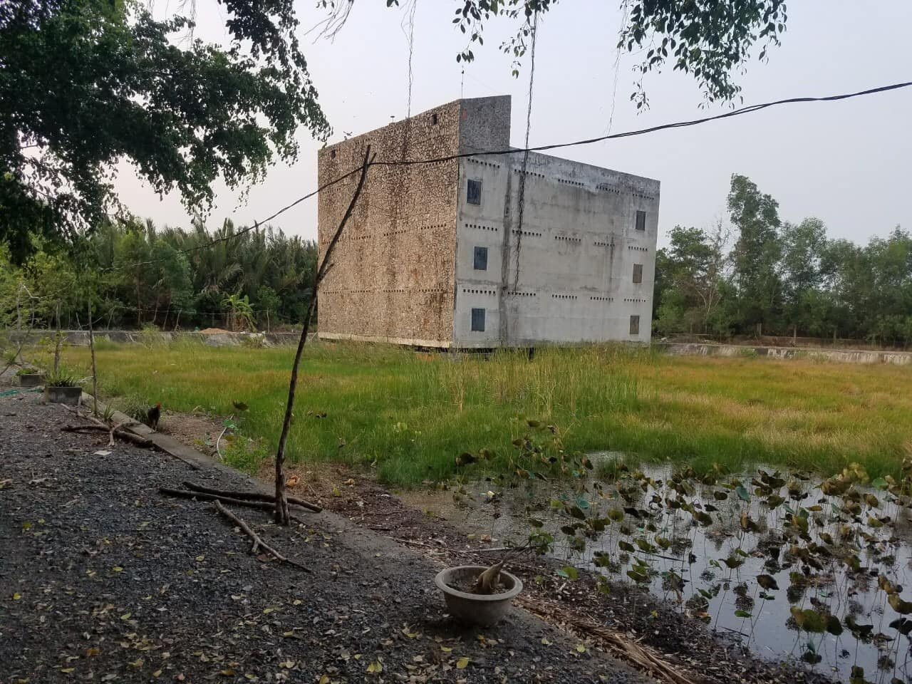 Bán  đất nông nghiệp 6653m² , giá 20.609 tỷ tại, Xã Tam Thôn Hiệp, Huyện Cần Giờ, TP. Hồ Chí Minh