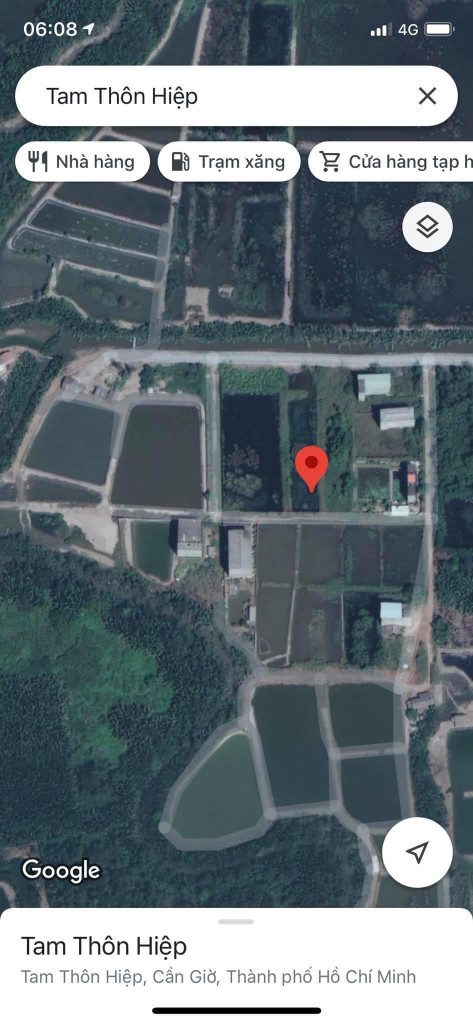 Bán  đất nông nghiệp 1987m² , giá 7.2 tỷ tại, Xã Tam Thôn Hiệp, Huyện Cần Giờ, TP. Hồ Chí Minh