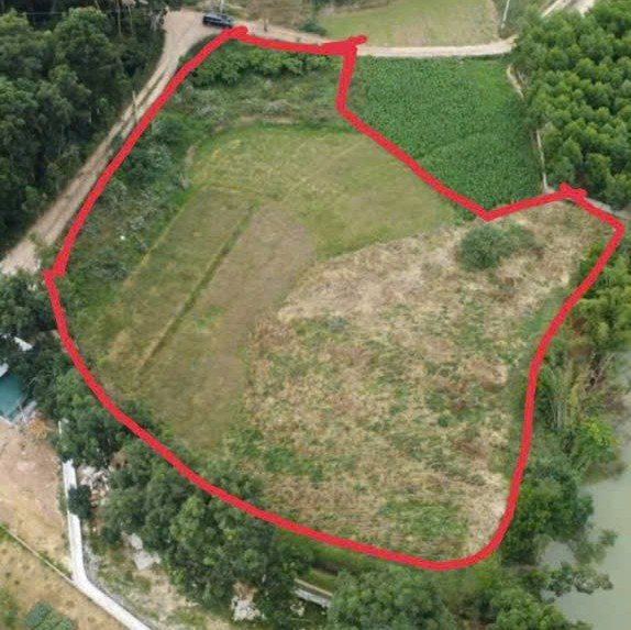 Bán đất 4580.6m² giá 2.3 tỷ Xã Tam Tiến