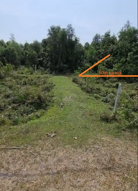Bán đất 4000m² ngang 30m giá 4.7 tỷ Xã Tân An Hội