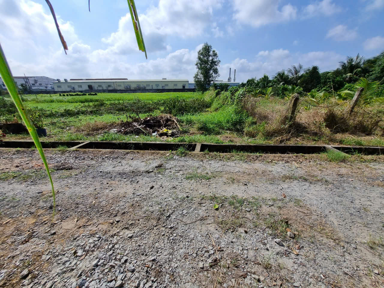 (L502) Nhượng đất nông nghiệp, xã Tân An Hội, DT 2582m2, giá 3 tỷ