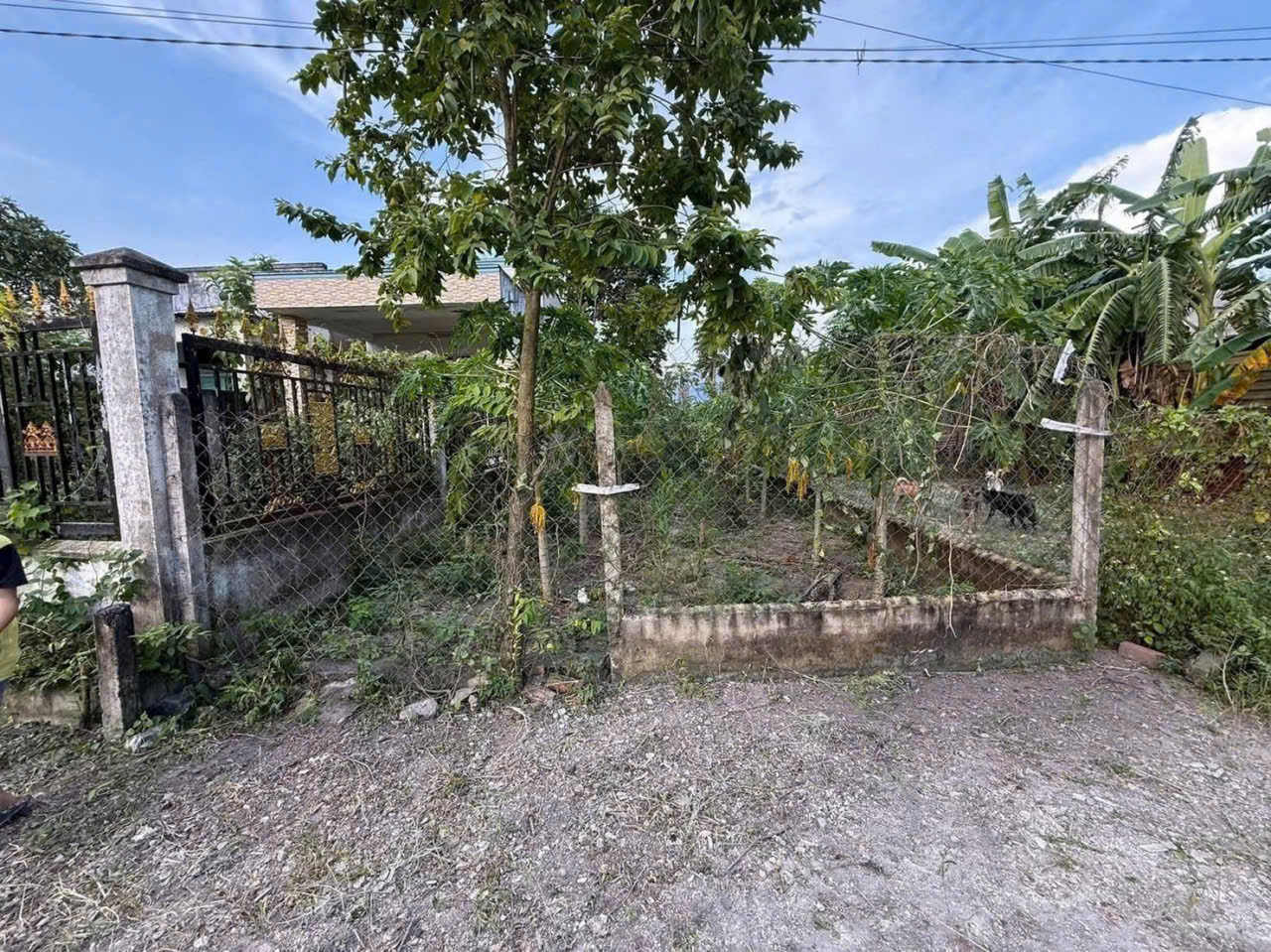 145m2 đất thổ / Nguyễn Văn Khạ, xã Tân An Hội giá 1,7 tỷ