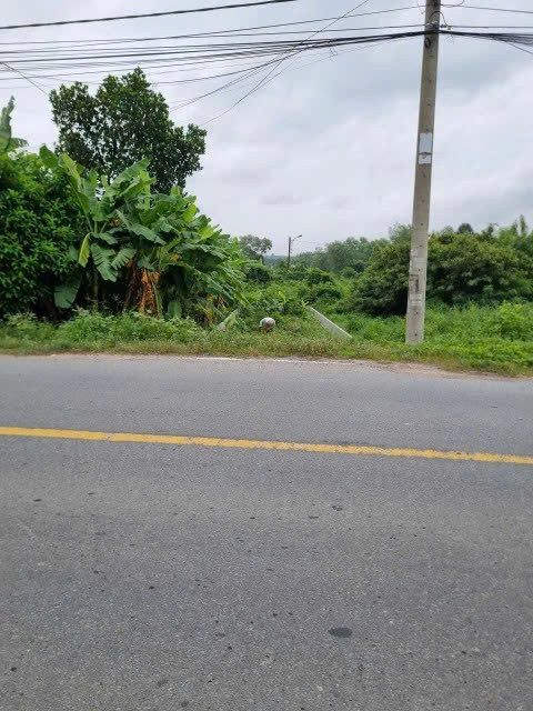 Đất rẻ Củ Chi – MT Nguyễn Văn Khạ, Tân An Hội, 5x25m giá 1,85 tỷ