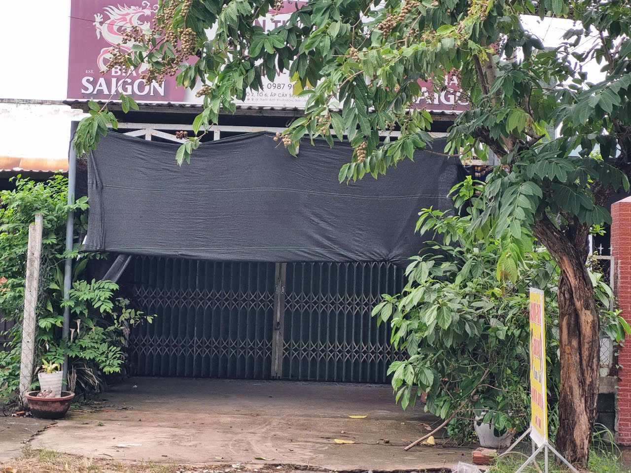 (L689) Đất (có nhà) mặt tiền Tỉnh Lộ 2, xã Tân An Hội, dt 236m2, thổ 183m2, giá 3 tỷ 600