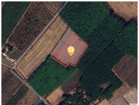 Bán đất 8810,9m² 9 tỷ tại Xã Tân Bình Huyện Bắc Tân Uyên