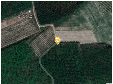 Bán đất 7701m² 770 triệu tại Xã Tân Bình Huyện Tân Biên