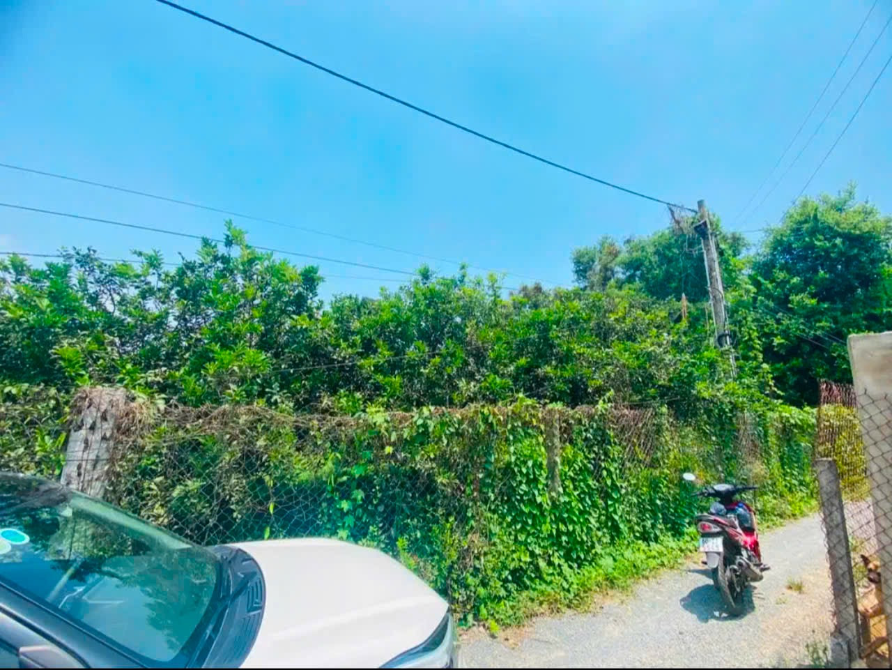 Bán Vườn Bưởi Tân Triều Đag Thu Hoạch,Đường Ô tô Có 300Thổ cưZ