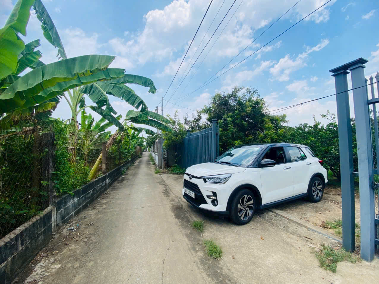 Bán Vườn Bưởi Tân Triều Đang Thu Hoạch Full Thổ Cư Đường Ô Tô