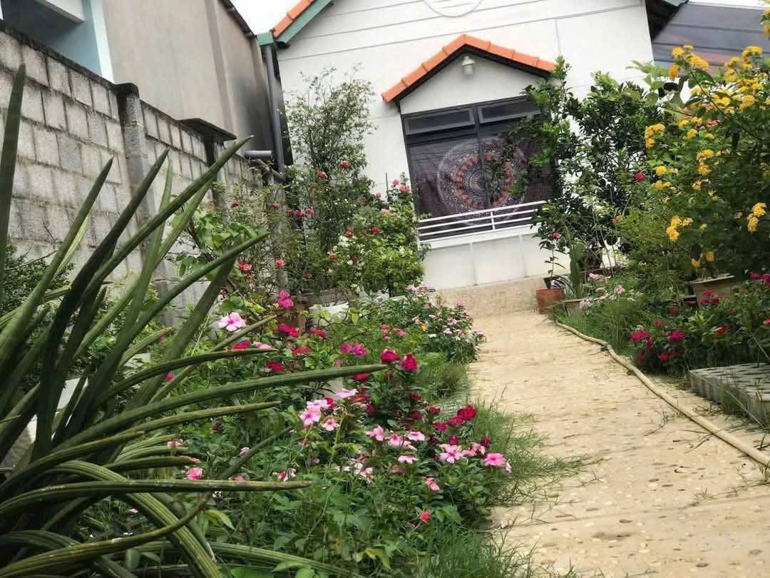 Cần Bán căn nhà nghỉ dưỡng Mặt Tiền đường Hương Lộ 9 Tân Triều - Tân Bình - Vĩnh Cửu
