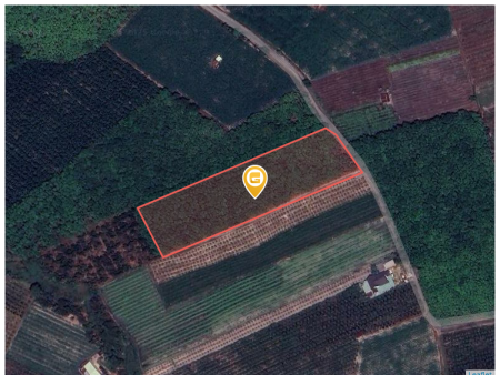 Bán đất 10419.5m² 4.4 tỷ tại Xã Tân Bình Thành phố Tây Ninh