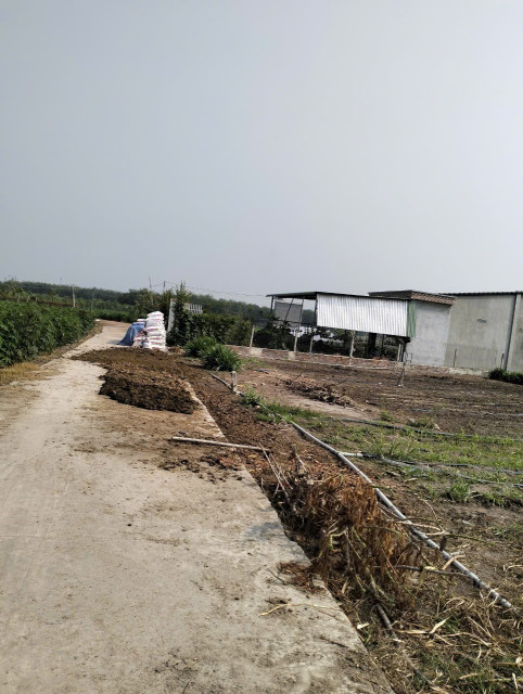 Bán đất 4298.3m² giá 1 tỷ Xã Tân Châu