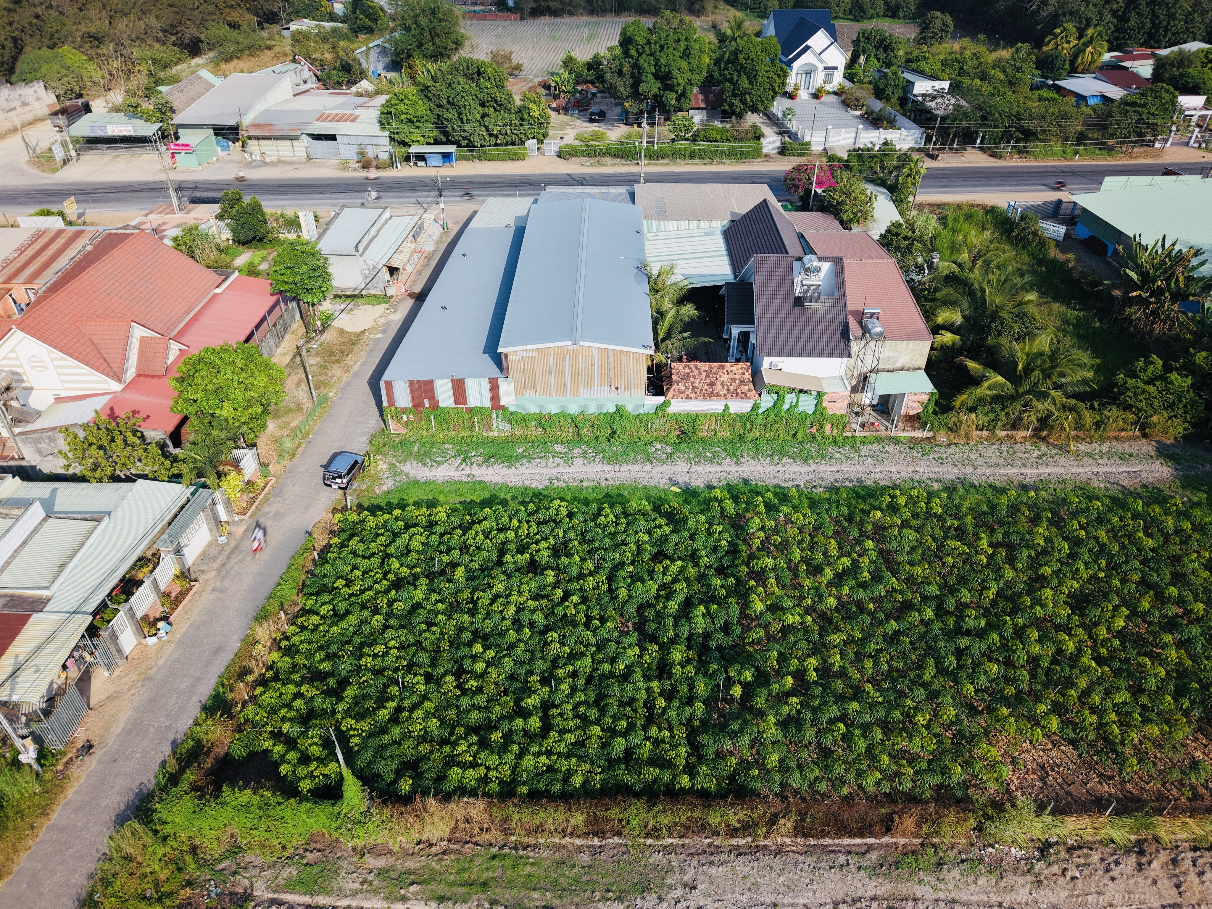 Bán đất 3073.8m² ngang 100m giá 200 triệu tại Xã Tân Châu