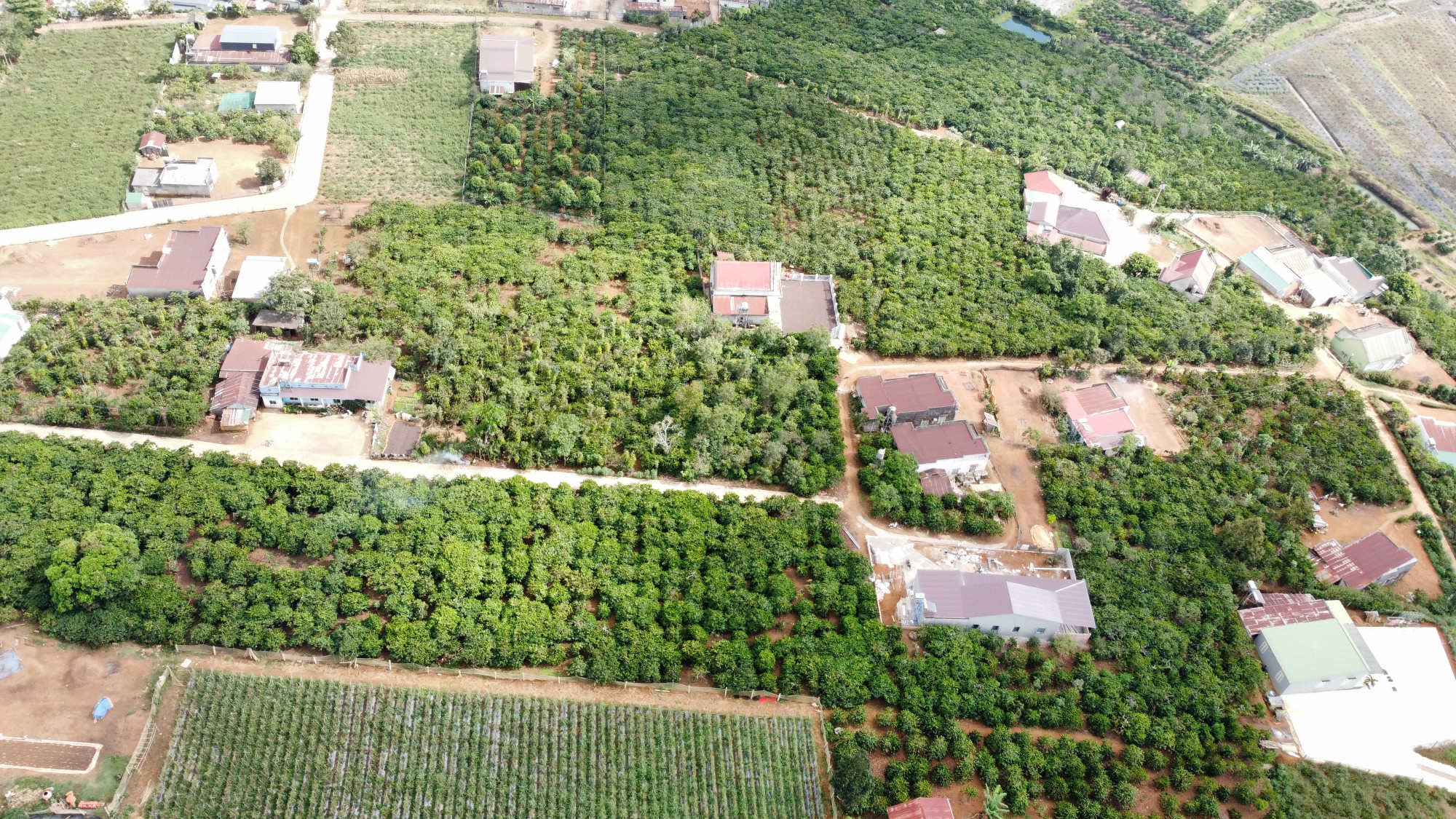 Bán đất 1000m² 3 tỷ tại Xã Tân Châu Huyện Di Linh