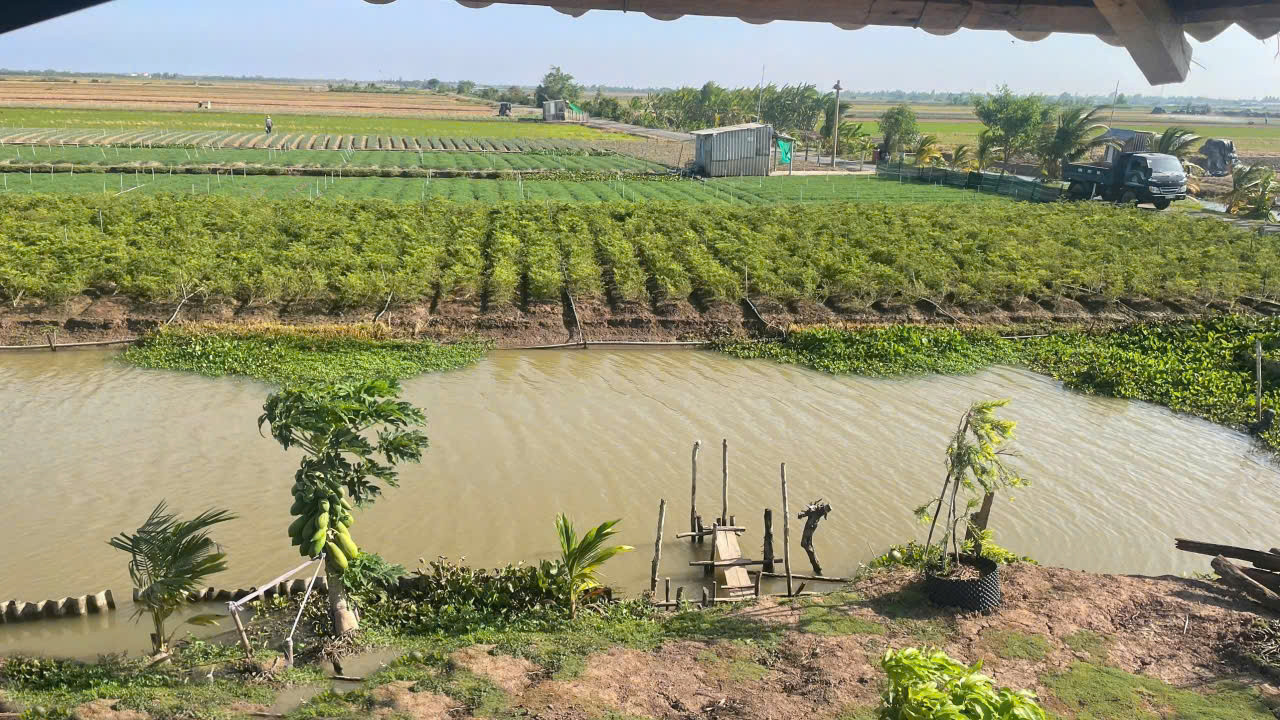 Bán nhà vườn có nhà sàn gỗ , nhà cấp 4 và vườn cây trái gần biển Rạch Bùn -Gò Công Đông,TG