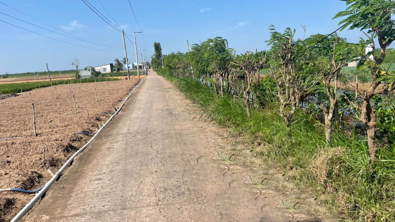 1000m2 đất nền, bêtông ôtô, gần Chợ Tân Điền, xã Tân Điền, tỉnh Đồng Tháp giá 750tr