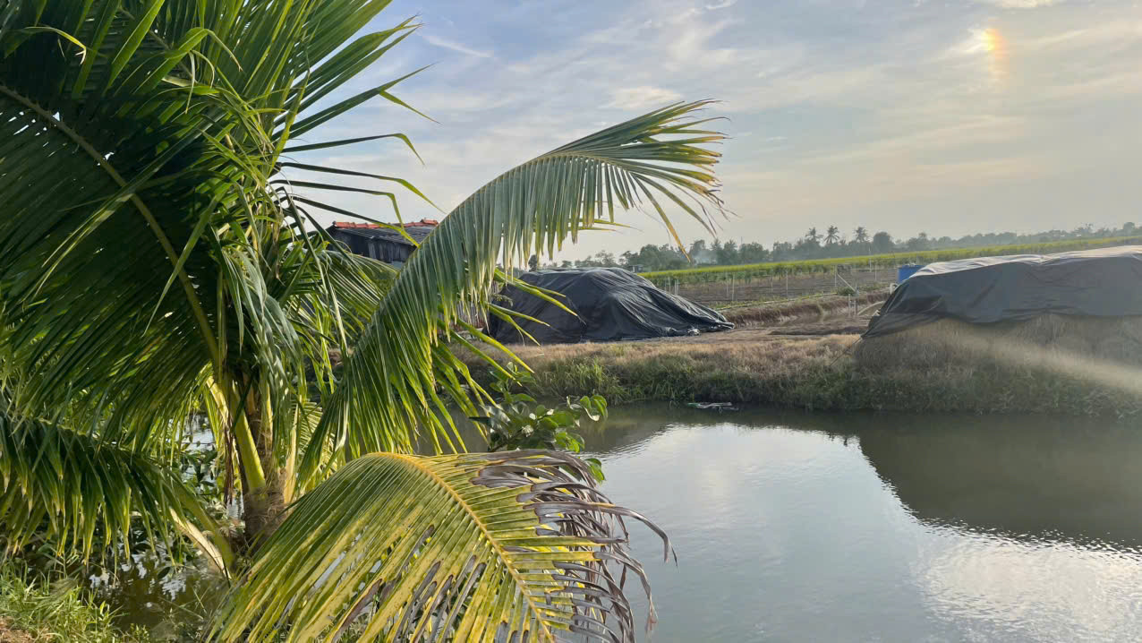 Bán 2.000m2 đất cây, ôtô giá 300tr/1000m2 tại Tân Điền, Gò Công (nay xã Tân Điền, Đồng Tháp)