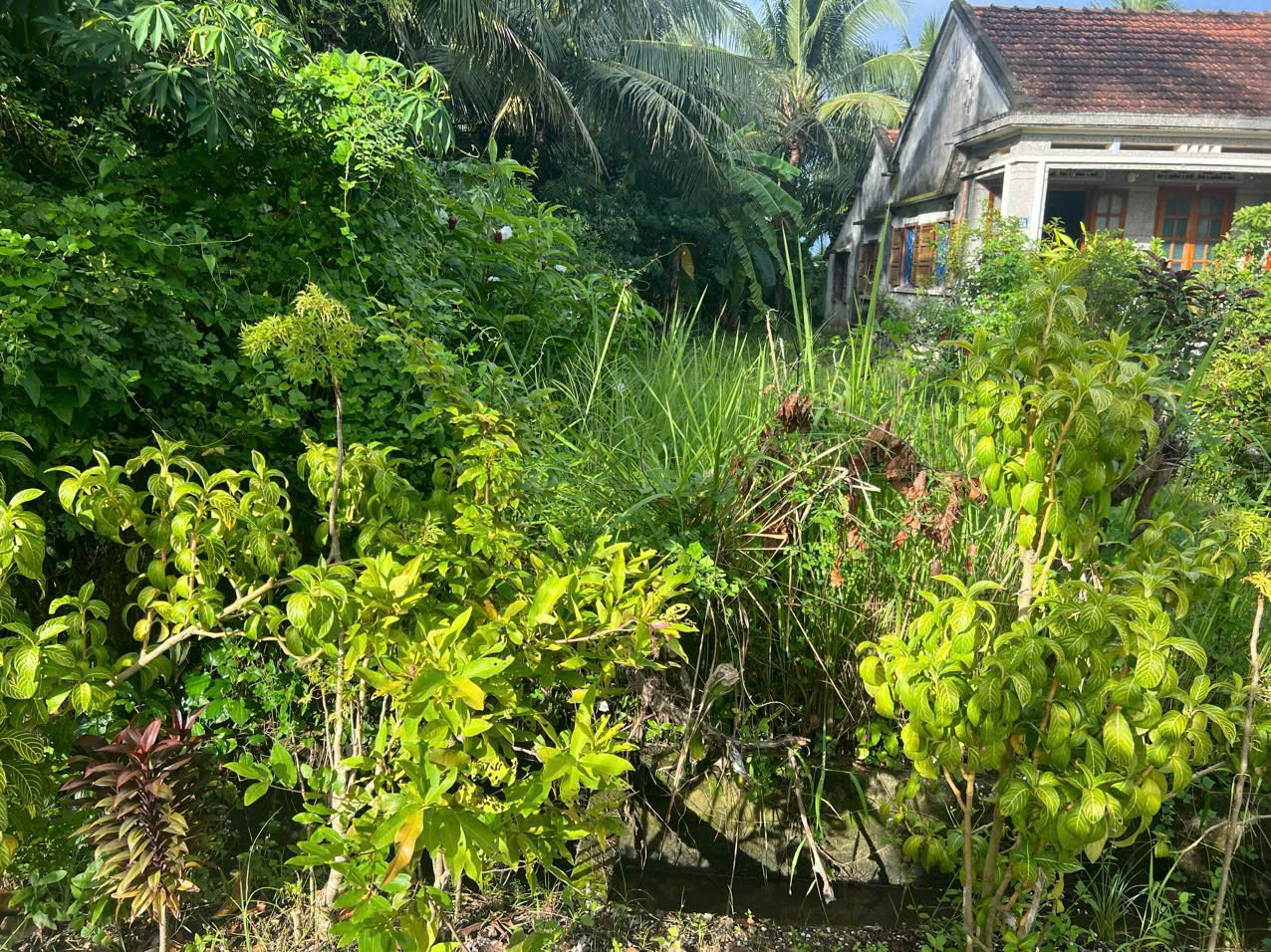 03Thịnh 0984648677 Bán đất 85m² ngang 5,12m giá 380 triệu Xã Tân Định
