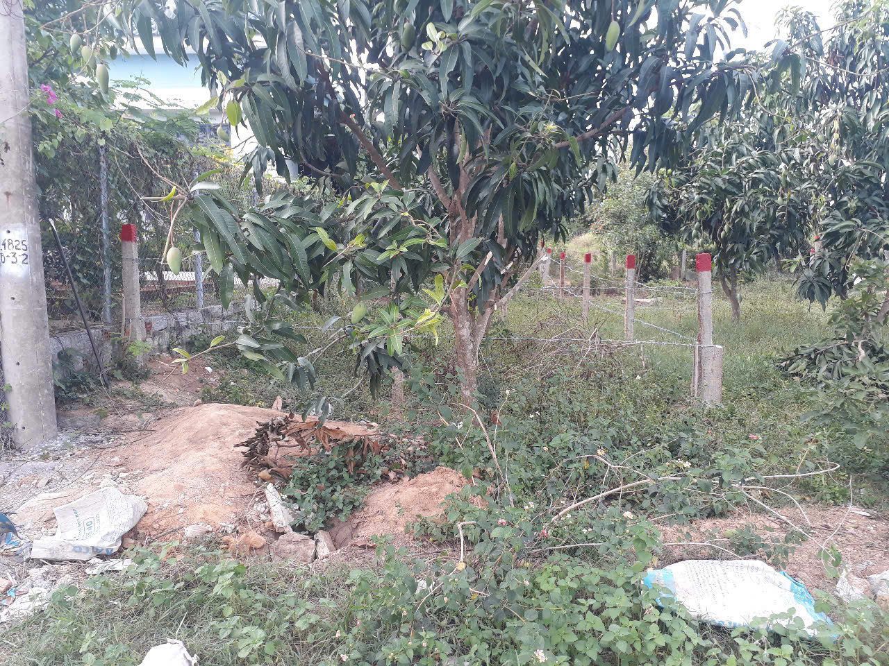 0763615365 Bán đất 101m² full thổ cư ngang 5m giá 299 triệu tại Xã Tân Định NP