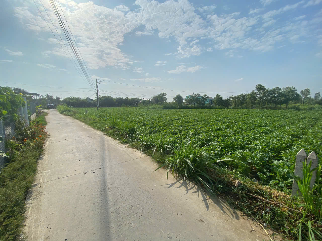 360tr b.á.n đất thổ cư gần TL873B, cầu Bà Trà, Tân Đông Tiền Giang.