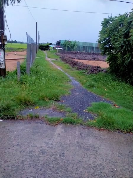 Cần bán 1000m² đất  giá rẻ – xe hơi vào tận nơi – gần chợ Hòa Thành - Lai Vung - Đồng Tháp. (SA ĐÉC)