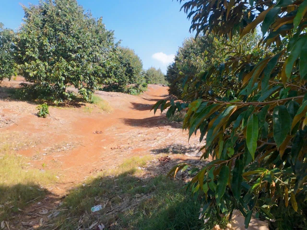 Bán đất 1000m² giá 799 triệu Xã Tân Hà Lâm Hà