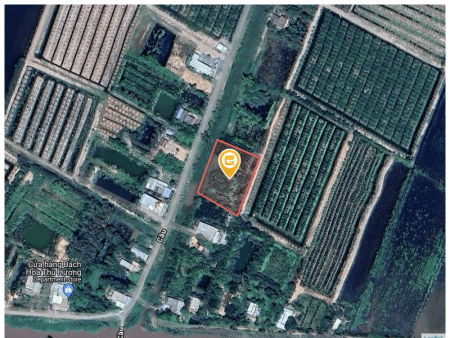 Bán đất 2942m² tại Xã Tân Hiệp Huyện Thạnh Hóa