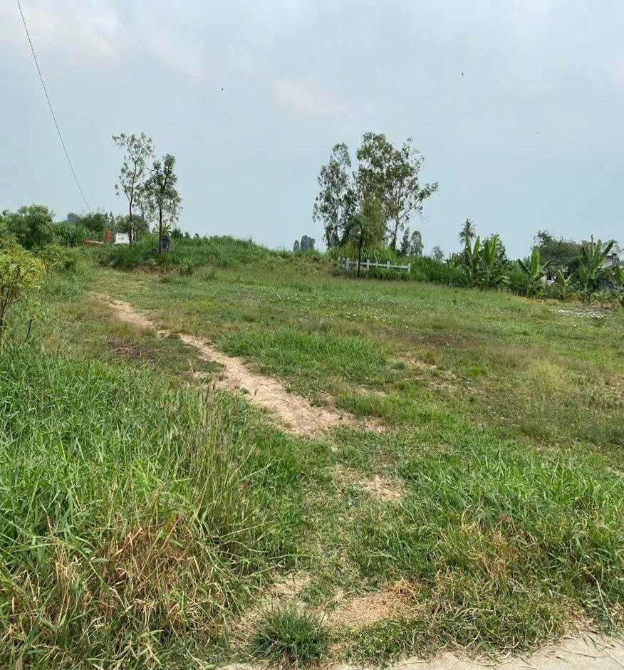 Bán đất 300m² giá 590 triệu Xã Tân Hòa