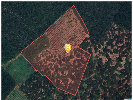 Bán đất 1000m² 395 triệu tại Xã Tân Hòa Huyện Đồng Phú