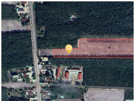 Bán đất 17981m² 20 tỷ tại Xã Tân Hòa Huyện Tân Châu