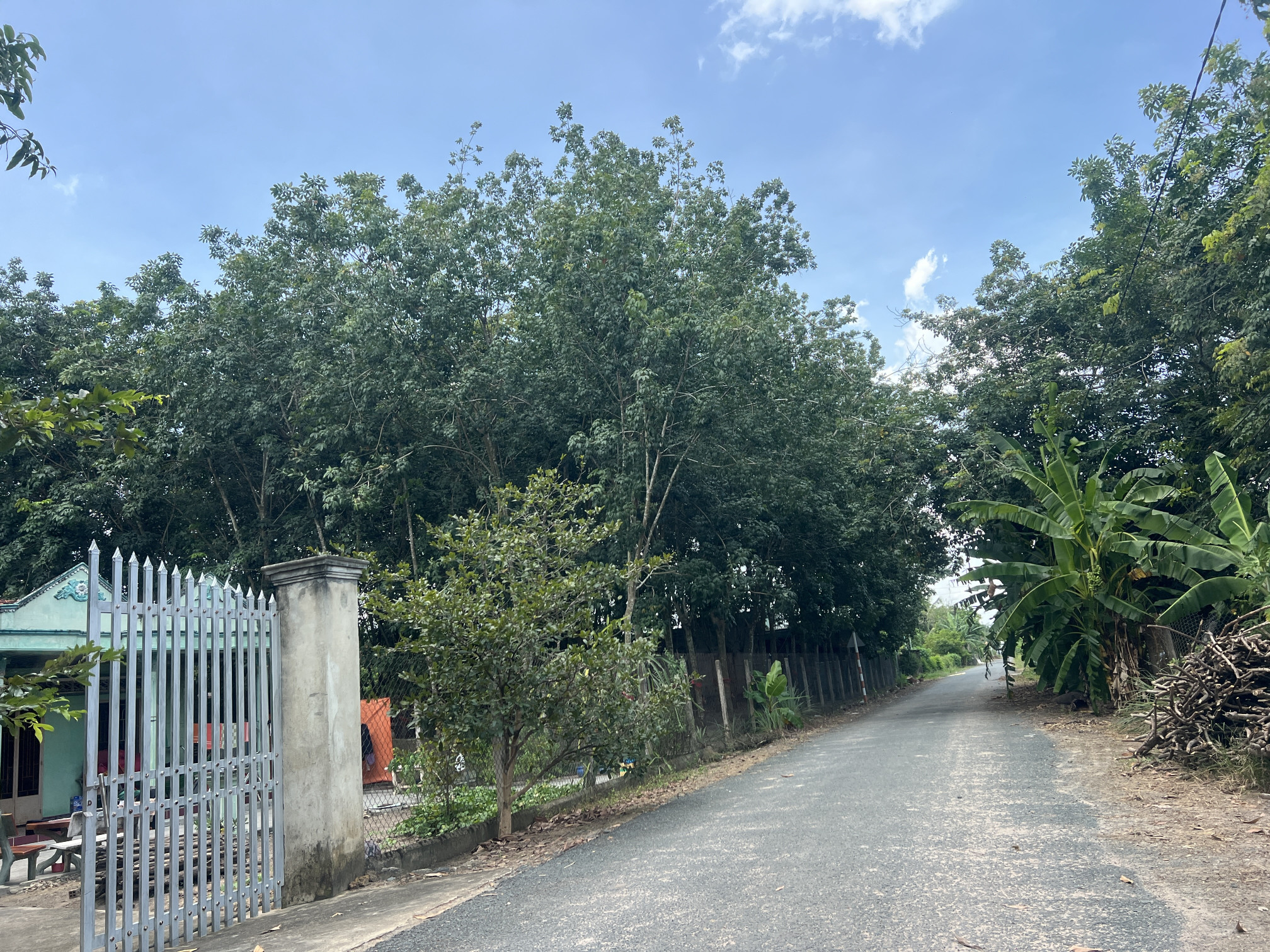 Bán đất 737.1m² ngang 20m giá 1.6 tỷ Xã Tân Hội