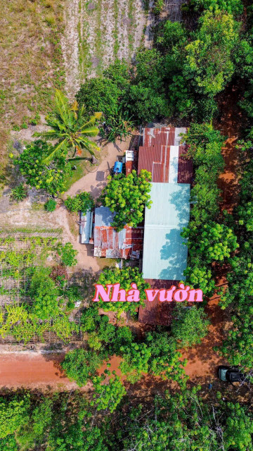 Bán đất 194m² 450 triệu tại Xã Tân Hội Huyện Tân Châu