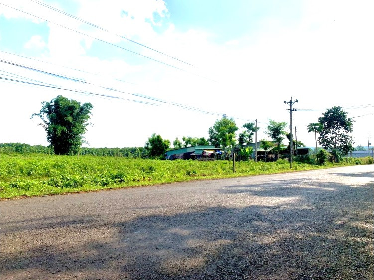 Bán gần 1.000m2 sẵn 100m2 thổ cư giá ngộp