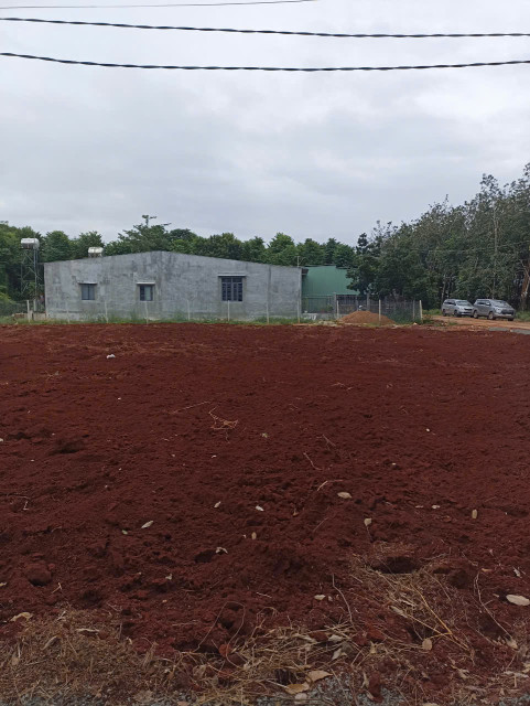 Đất sào chính chủ
