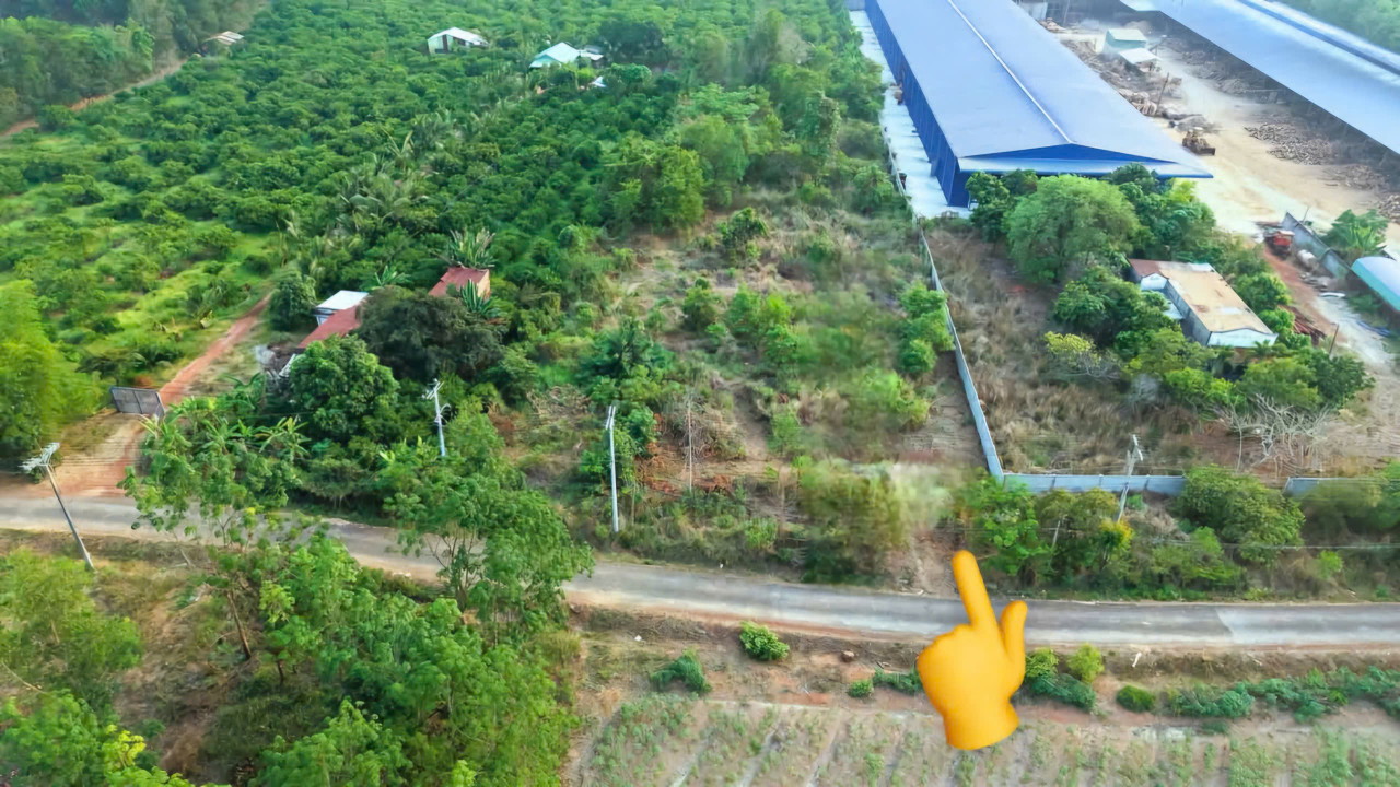 Bán đất 293.3m² 350 triệu tại Xã Tân Hưng Huyện Đồng Phú