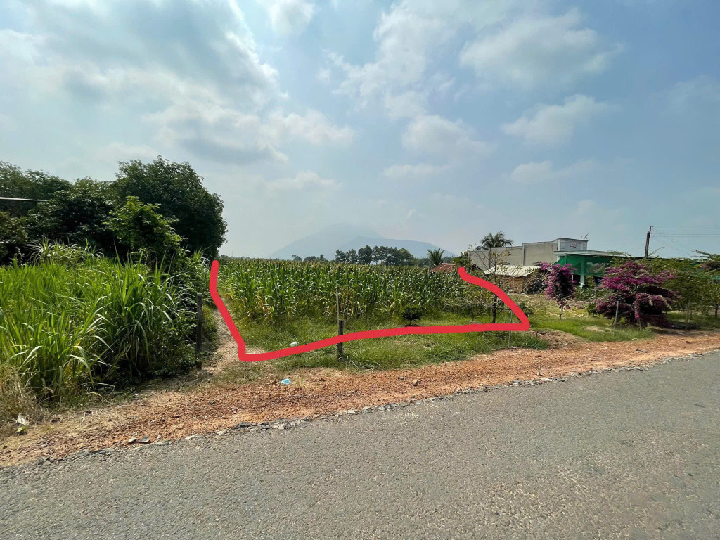Bán đất 587,3m², 100m2 thổ cư, 1.3 tỷ tại Xã Tân Hưng Huyện Tân Châu