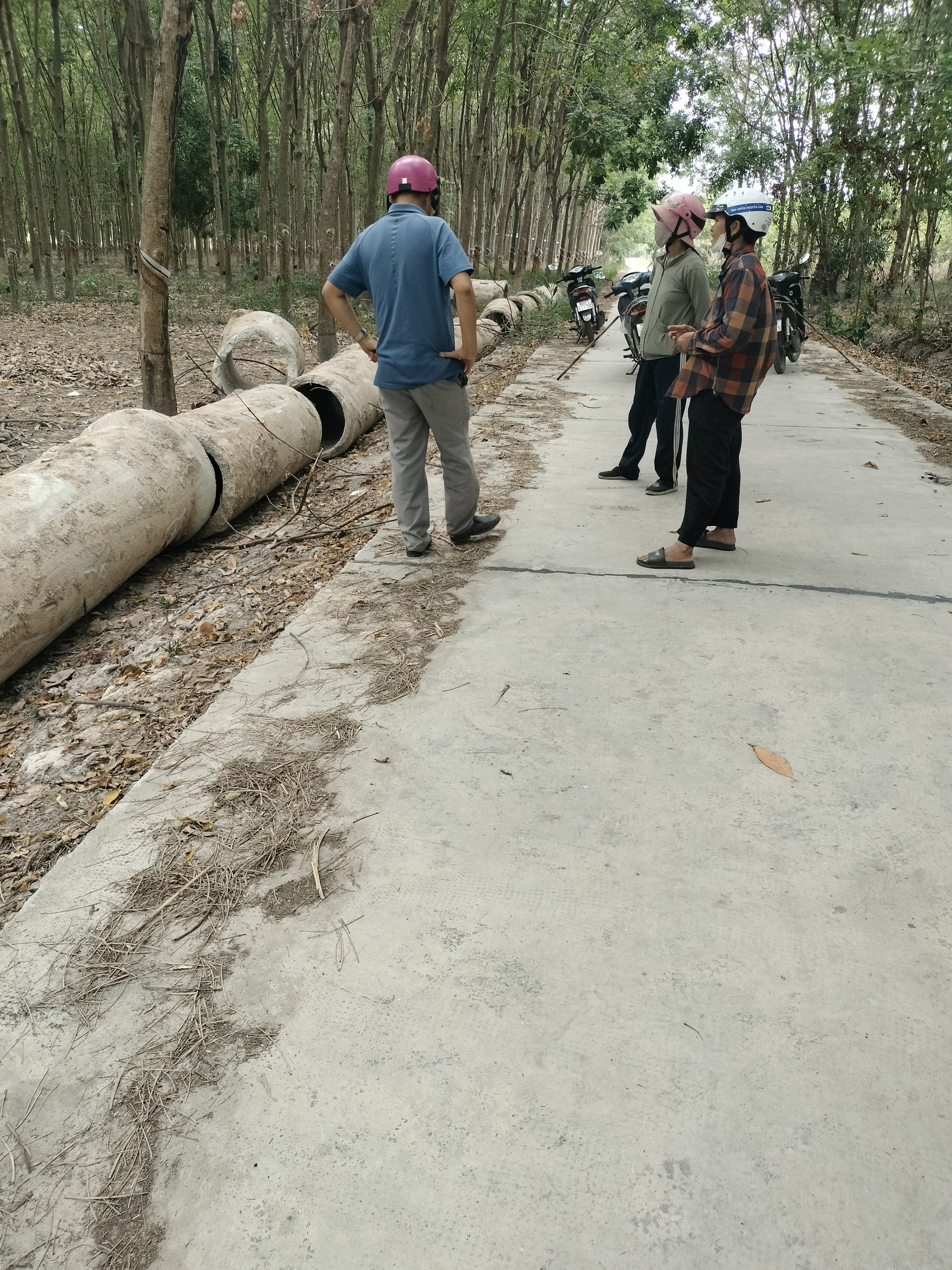 Bán đất 9958m² ngang 41m giá 4 tỷ tại Xã Tân Khai