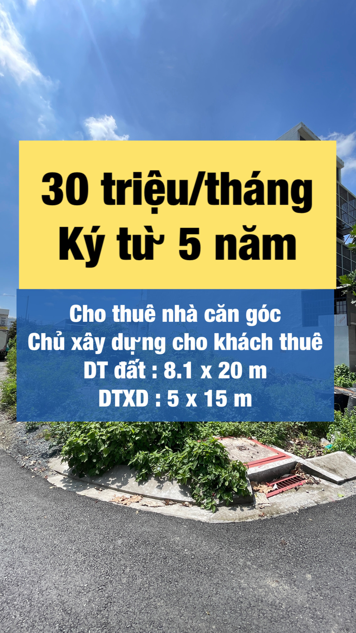 Cho thuê căn góc , chủ bao xây dựng Huỳnh Bá Chánh