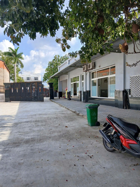 Cho thuê xưởng 5000m2 mặt tiền Dương Đình Cúc, Tân Kiên, Bình Chánh