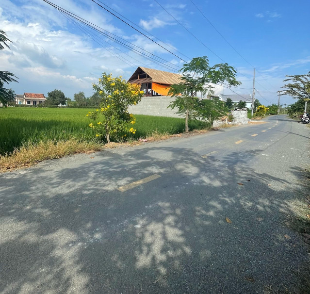 Bán đất 970m² 4.37 tỷ tại Xã Tân Lân Huyện Cần Đước