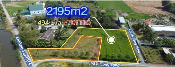 2400m2 đất 3 măt tiền đường ( có 700m2 thổ) xã Tân Lân, Cần Đước Giá 4 tỷ