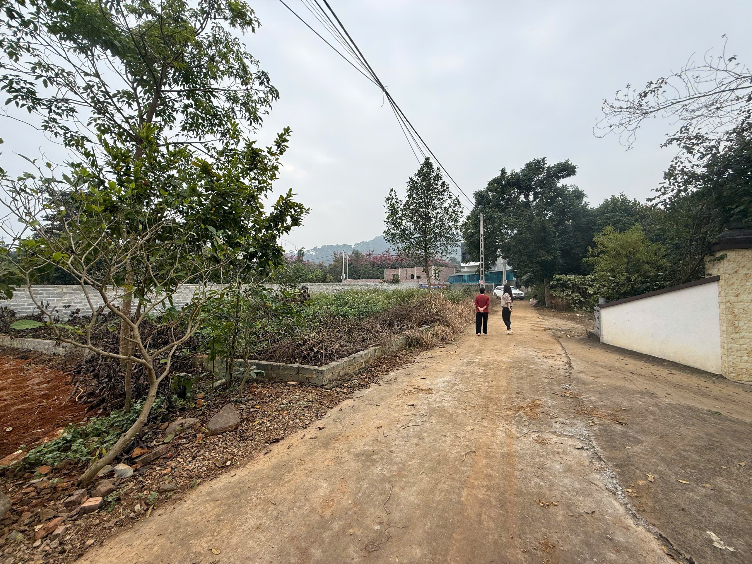 Mảnh đất Tản Lĩnh, Ba Vì giá rẻ cho nhà đầu tư.