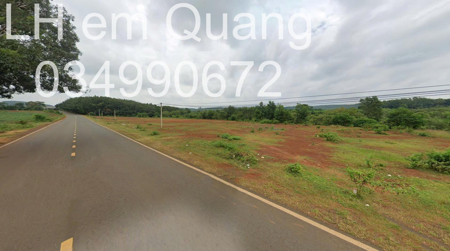 lô đất vườn trồng cây lâu năm 1030m2 giá 199tr tại Đồng Phú. Đất đã có sổ đỏ riêng, bao ra tên