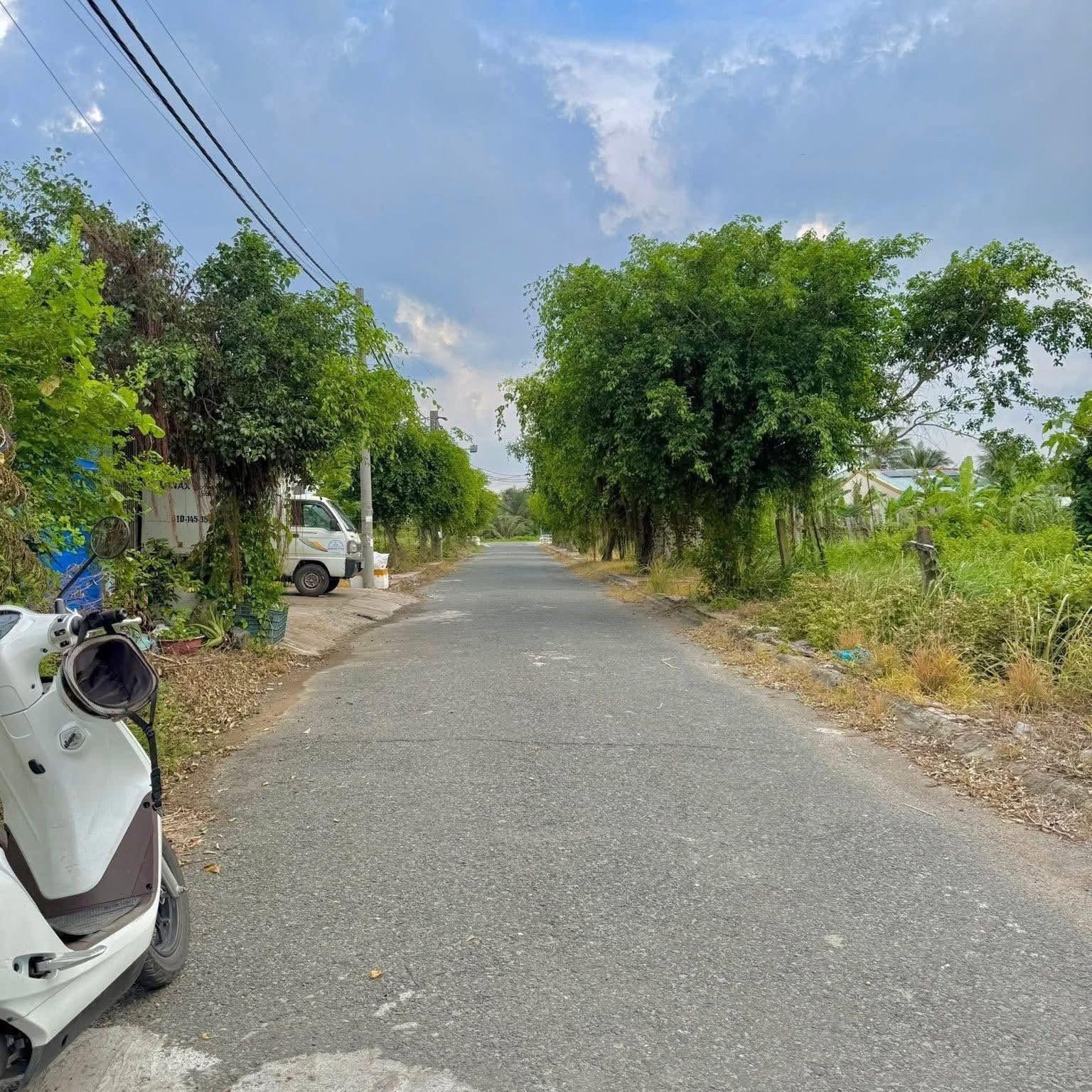 🌿✨ ĐẤT ĐƯỜNG NHỰA – KHU VILLA TÂN MỸ CHÁNH – HÀNG HIẾM ✨🌿